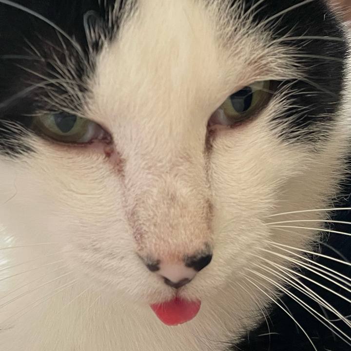 1a30c544 0ccc 4e1f a314 aa85d89c9647 1659043944319