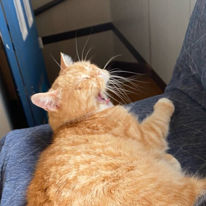 1a30caa5 de14 4219 bead c196d59a8599 1636243262825