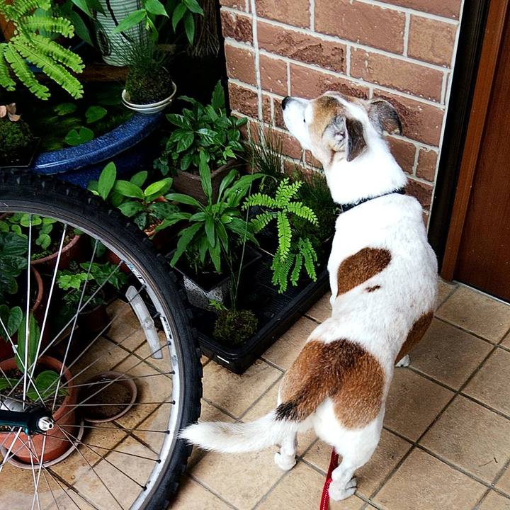 1a30cc13 e36d 4823 b255 618d39aca860 1593903236083