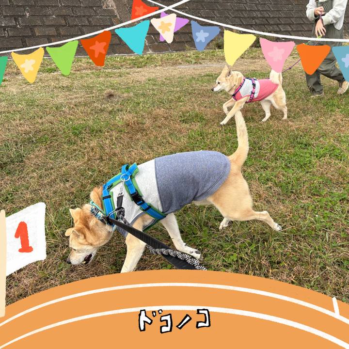 1a310450 8530 4769 84f6 b2b22516a227 1762576836952