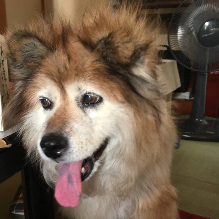 1a31252c 97bc 4b75 a3db 638e738a0929 1615242223926