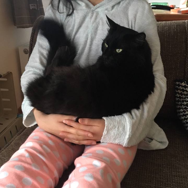 1a315866 b111 4ef6 bed0 79a764382960 1526692983096