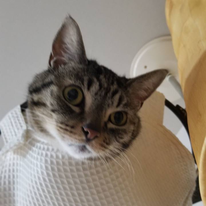 1a315920 a39b 4e9a 8321 546fdc8c0219 1593952980476