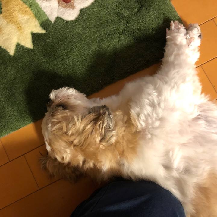 1a3177e3 46ff 421f 8f5e ec7ec4fdf646 1570877544367