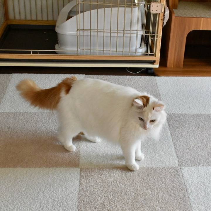 1a317ca7 b2ca 4d97 a2ae b5a5755f688c 1773452143731