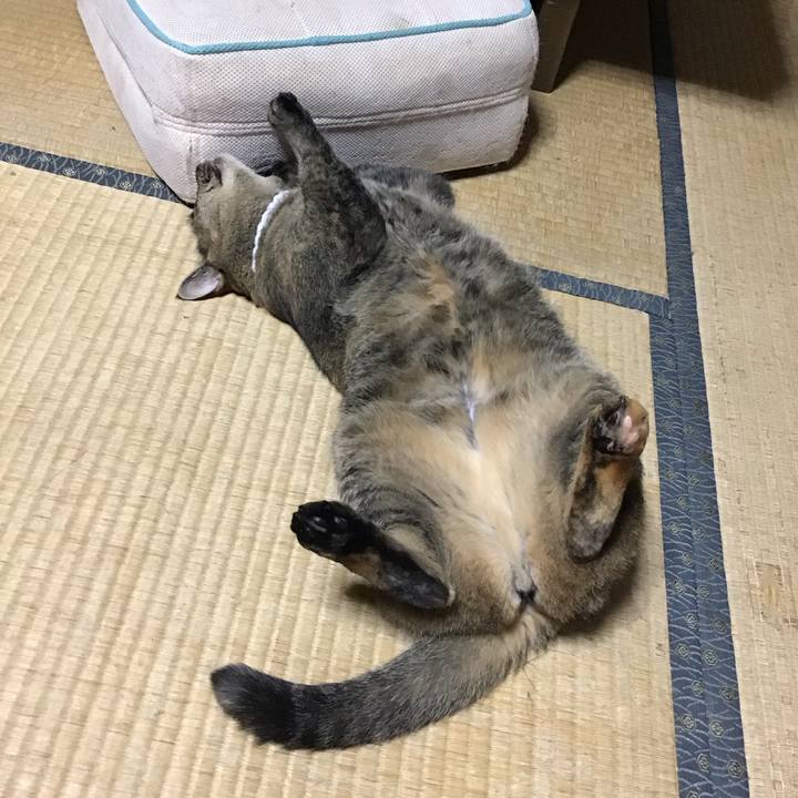 1a31d2ec fdac 4028 b973 c691e2fb4d80 1724746887472