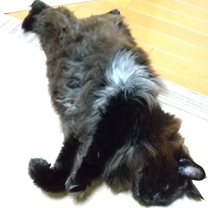 1a31dfe5 6ec8 4ace 8192 57cf52961d84 1676808457608