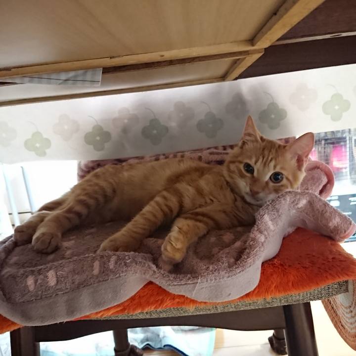 1a31e34a ad96 46ce 87fb 2f64e94d0cf9 1634682126568