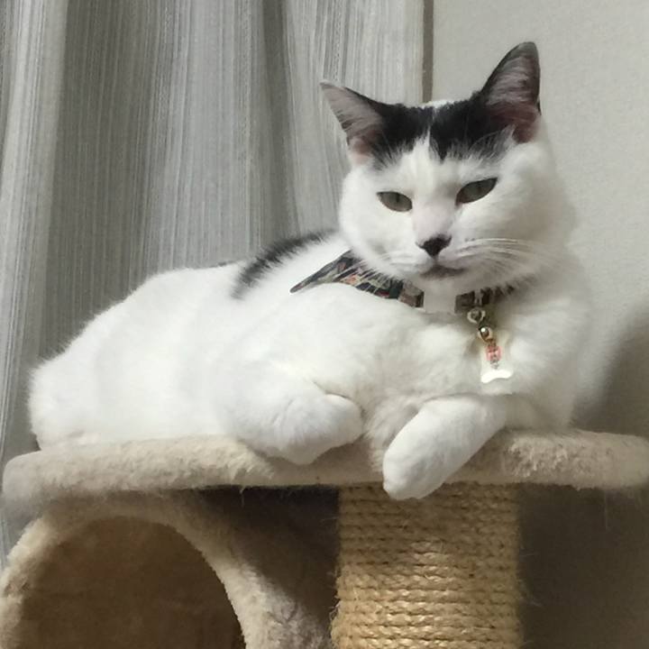 1a31feb1 dda7 41c6 806c 5446a8fee381 1508751816107