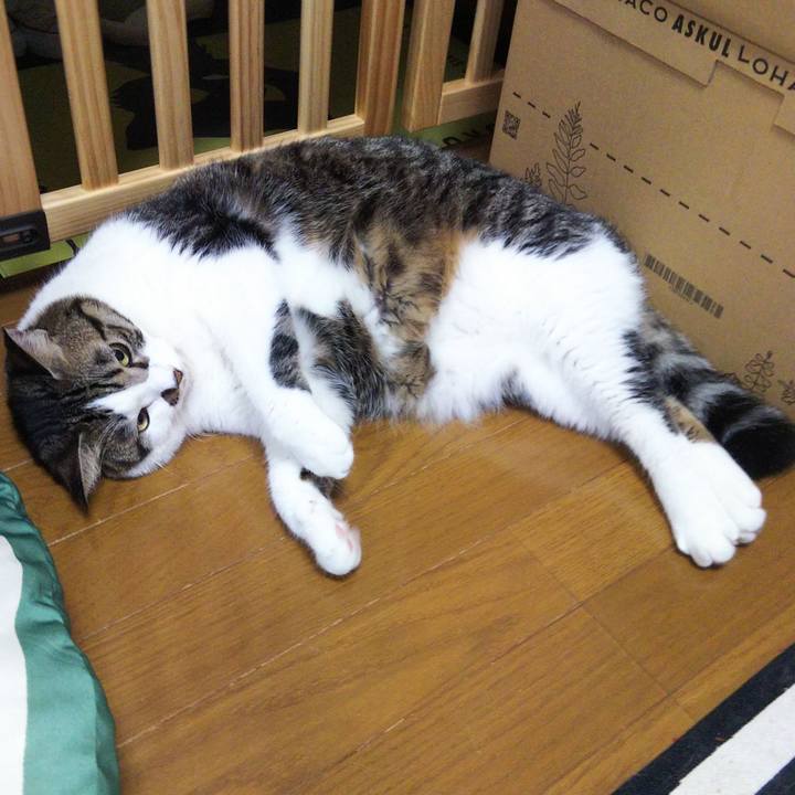 1a320a7d bbda 4751 893b cc0bc88a52b3 1664969559778