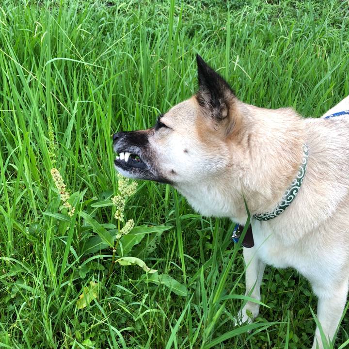 1a320b84 721a 4a10 b6b4 7f311e6c202a 1595940281755