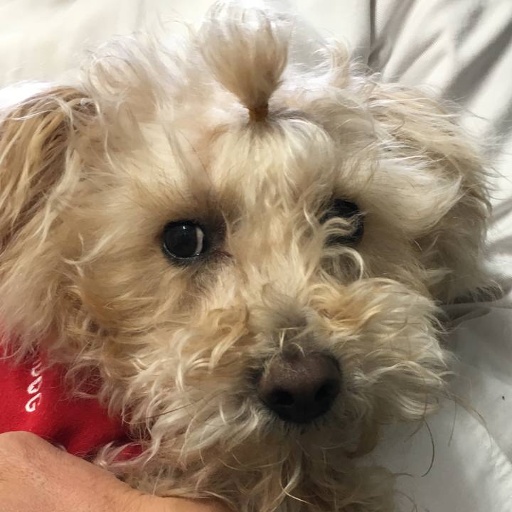 1a325915 6ebd 4385 86cd ca3e8e6c8aa9 1546325172296