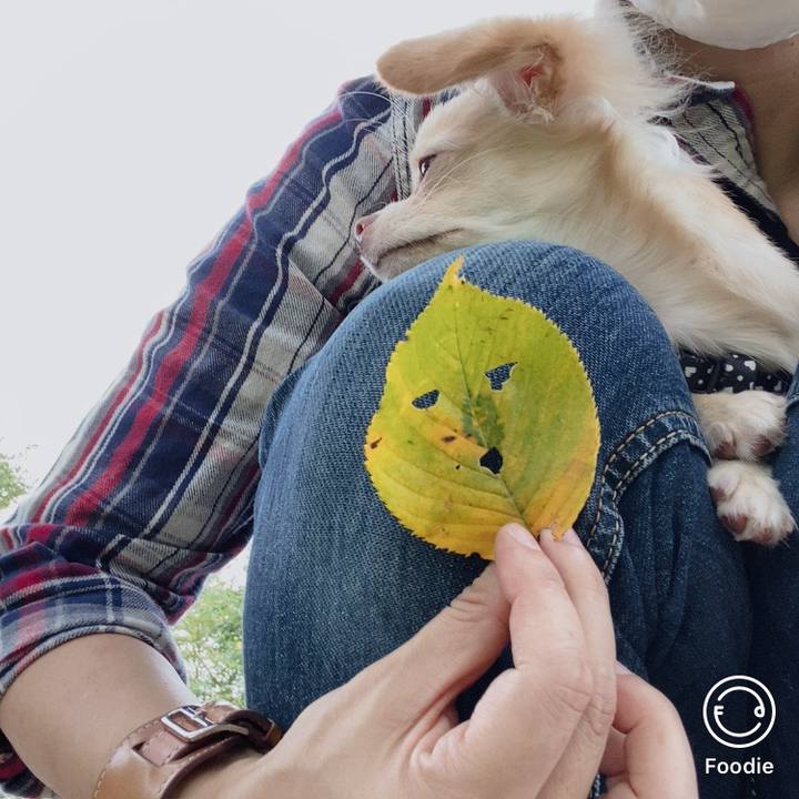 1a325b67 05df 49ca baad 80cb84b75282 1600321306800