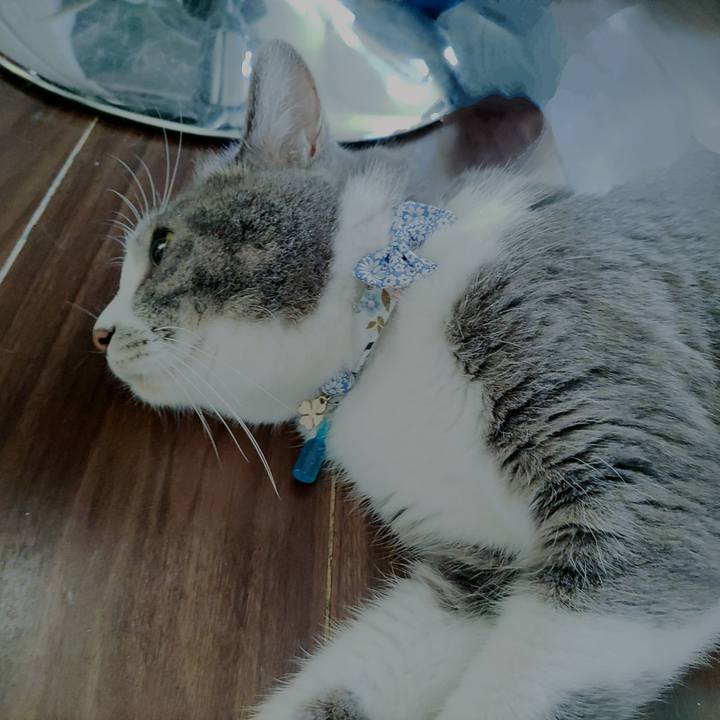 1a32788a 7827 43b7 a6a6 a5acbd31e183 1722290905640