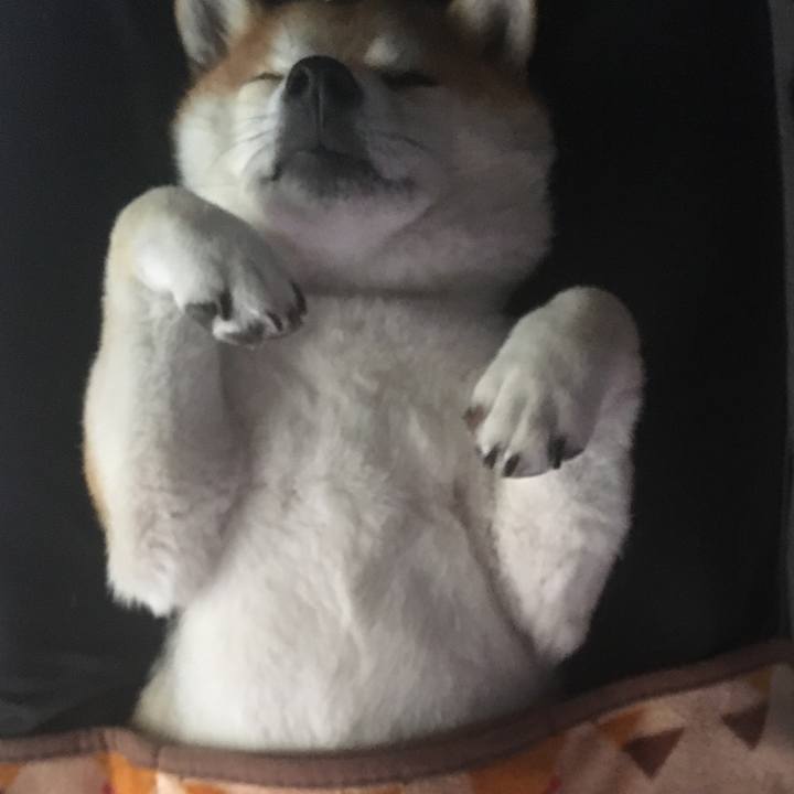 1a32aa22 f8b0 4084 821d 4724f098e5d4 1571462665985