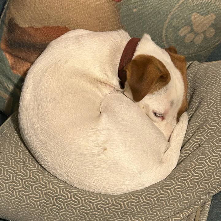 1a32b5c5 1a11 4e9a 8bd5 599cc817b1ed 1765395119495