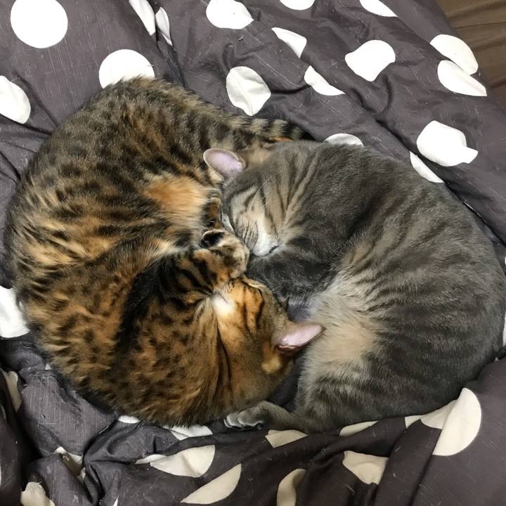 1a32eb7c 03f5 4581 a47f 7aa0b60f2bd9 1573570911373