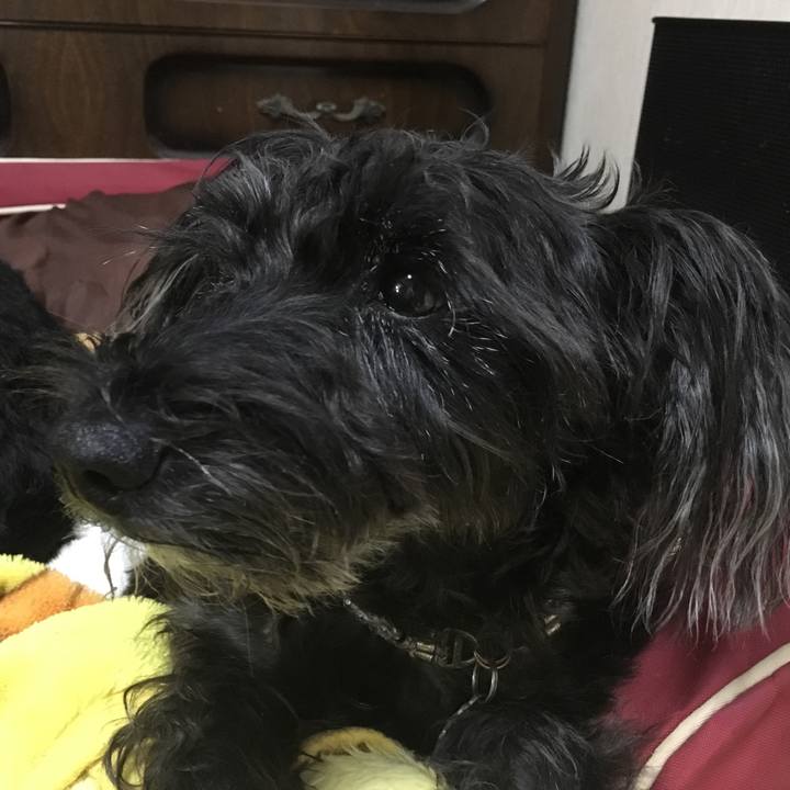 1a32ecc7 7a83 4e92 9cc8 e21e768642b4 1511401679189