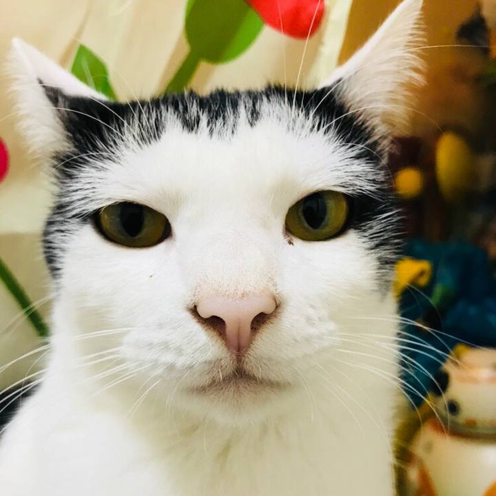 1a33066a c87d 4ba4 91a7 dfc07f216973 1529759385460