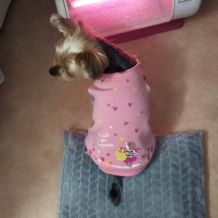 1a3334db cef6 446e b4a6 4271c00fc9f5 1608077154431