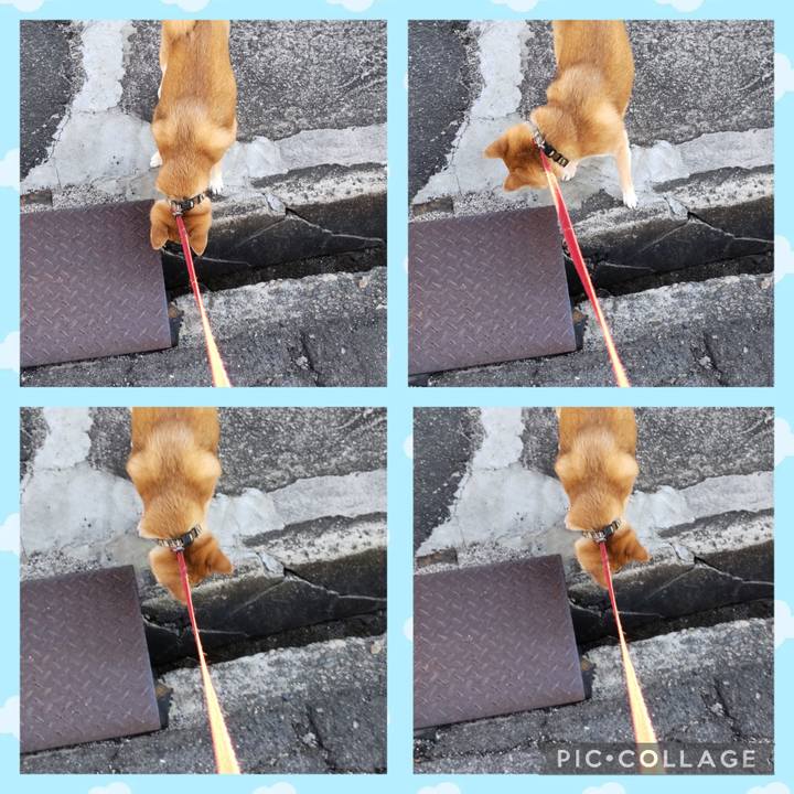 1a334482 73b1 4156 99b9 c6117f41b87c 1740555867204