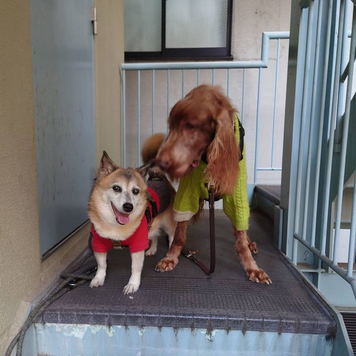 1a335f3c 7f80 4ff5 a7d9 e50bc5fd5b7c 1702041897430