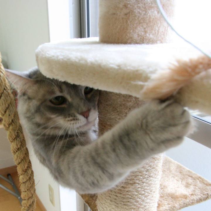 1a33633f 3262 4666 bd68 d43ba3dee648 1508286471086