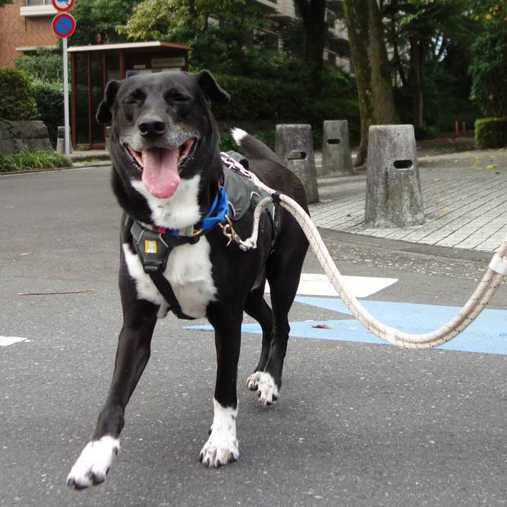 1a3380ee 533f 4332 b9d4 05575b23bd2d 1661557803449