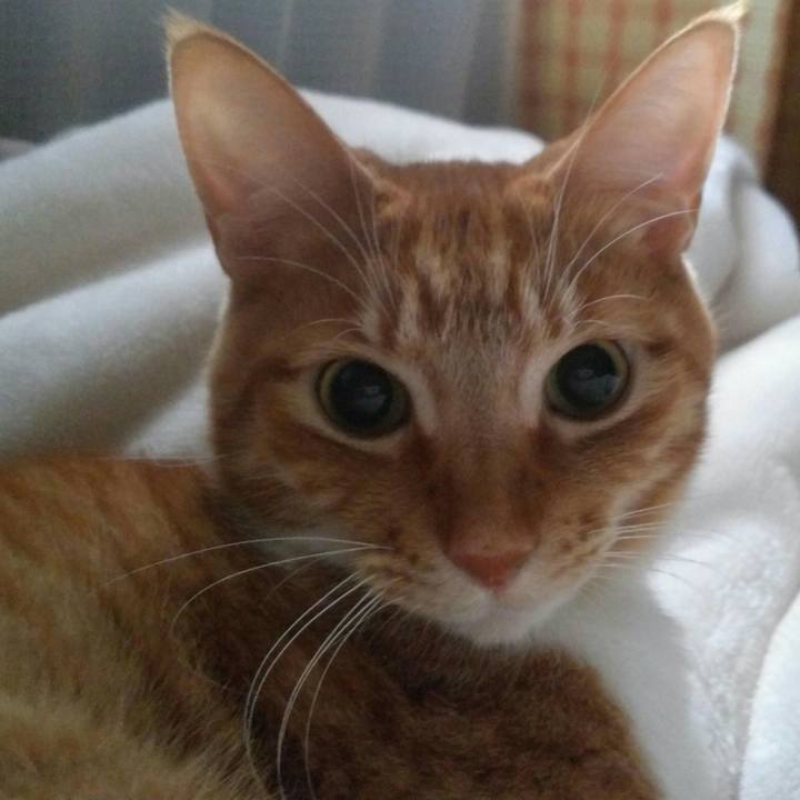 1a3385ca 2f4b 4342 94a4 32e914d82b07 1558037621365