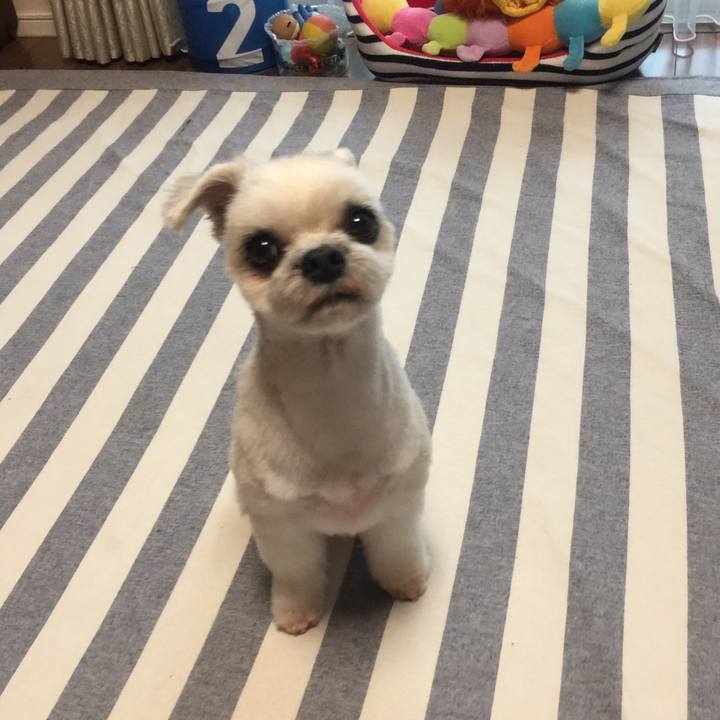 1a33af04 6035 4a4b 9ea5 2238dd2205e8 1537524373595