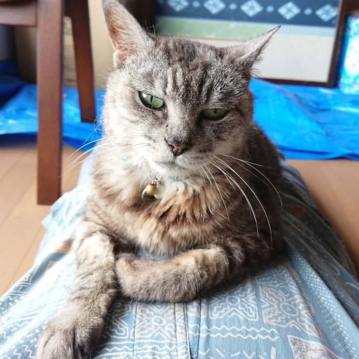 1a33b3ae 269f 48c7 87fb ee6ea4a82aef 1565929302340