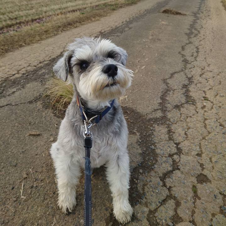 1a33c9ca 6128 4d72 8a88 035ecc663559 1775257662753