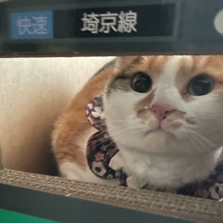 1a33d1da 3b86 45ae b8ae d43f3e1b8455 1735083517161