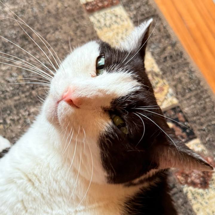 1a33e07d f1ab 4b90 91ec e5191575847a 1747448927882