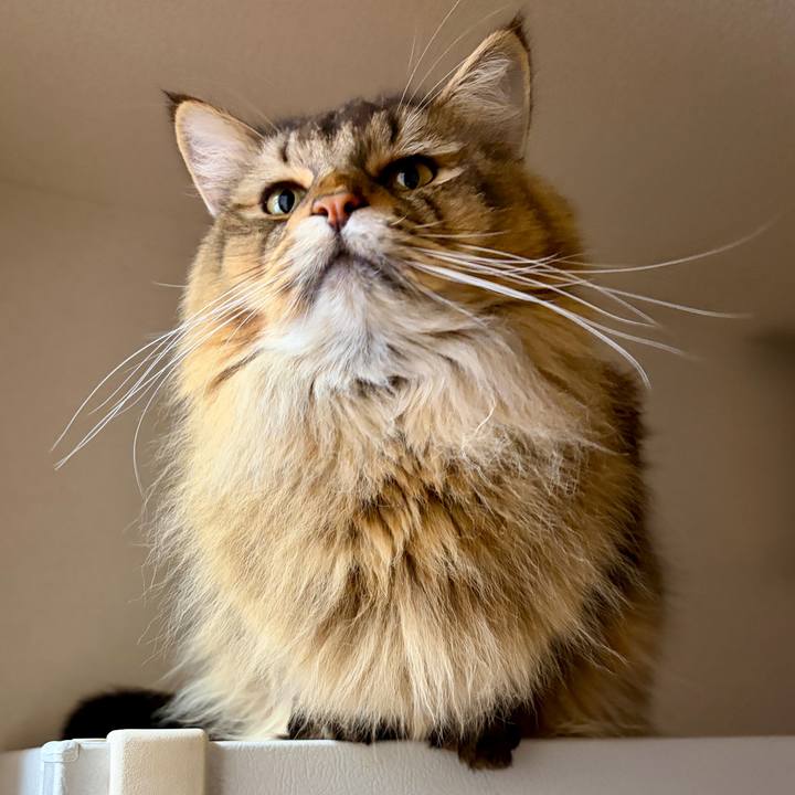 1a342199 473f 4bd4 95dc ac51cbe48ae8 1764024328888