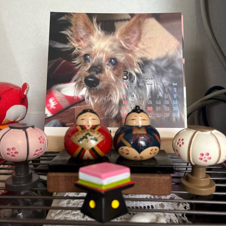 1a342951 465b 4daf 9836 b39317163b5b 1709254347462