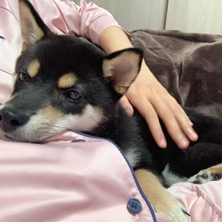 1a345567 6e28 483a 8a96 291c061dc3a9 1558961321790