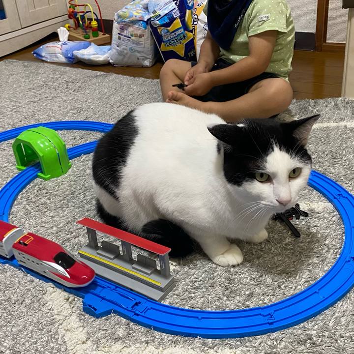 1a346391 ecfd 4899 a19b a50251e01e9f 1636013605596