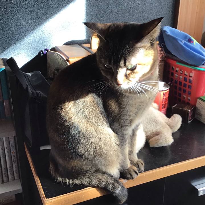 1a34704c 9ccc 46f4 b211 27091971651d 1636342402000