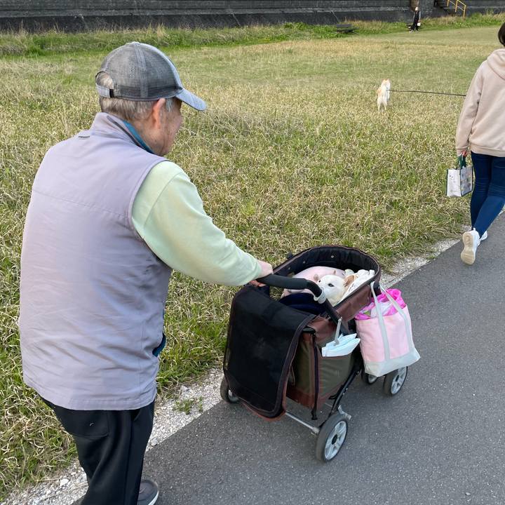 1a347ca9 5a34 4609 8d25 8d5147c7c3a4 1679997245577