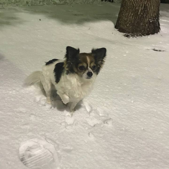 1a349e10 4aae 4766 a60f 3adc68b9f937 1516623878437