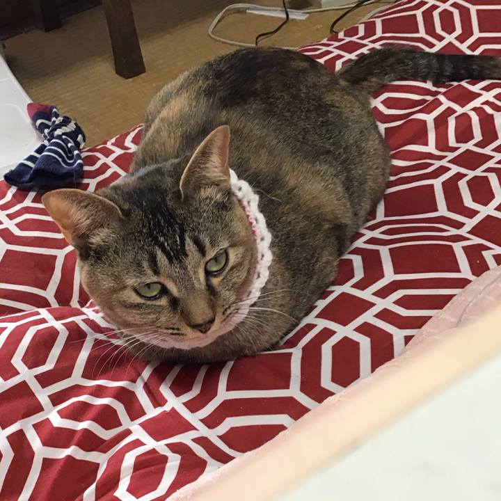 1a34dc95 5017 47fb 9459 eb95852f7ea2 1610869283657