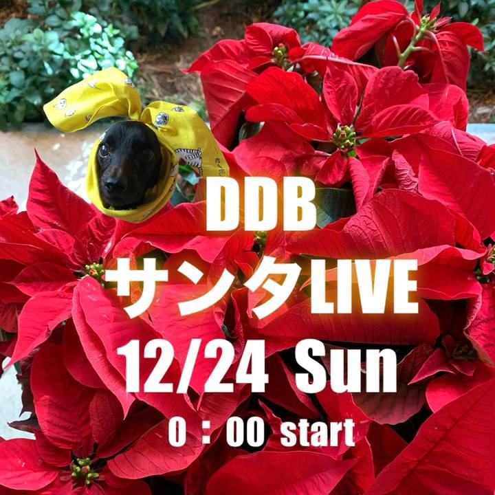 1a3515d7 997f 479f 9e8f 5a536e50c225 1703287946549