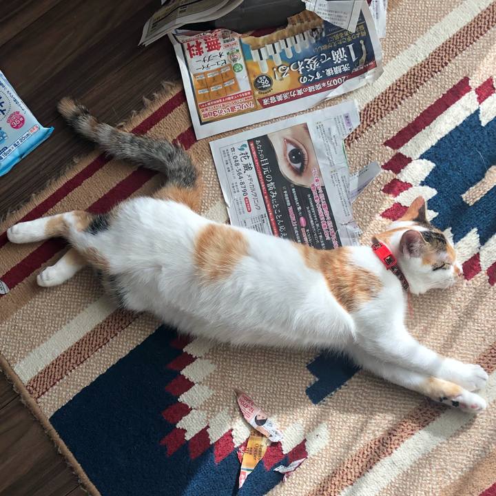 1a35177c 434b 4524 946b a19a26b36377 1570254456290