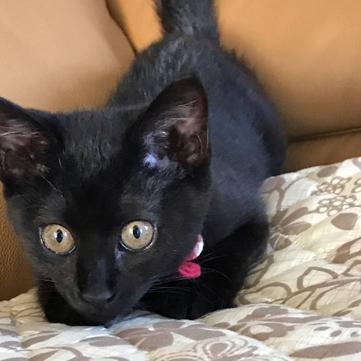 1a35534c 5081 4249 83a2 6efe02e410b6 1661834627459