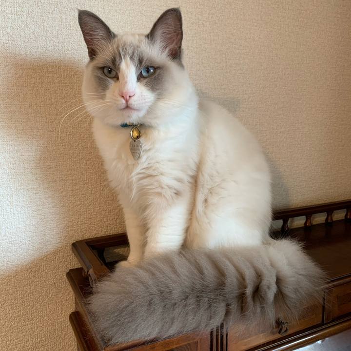 1a357810 a426 4caa b443 314fcd38bc56 1629181856930