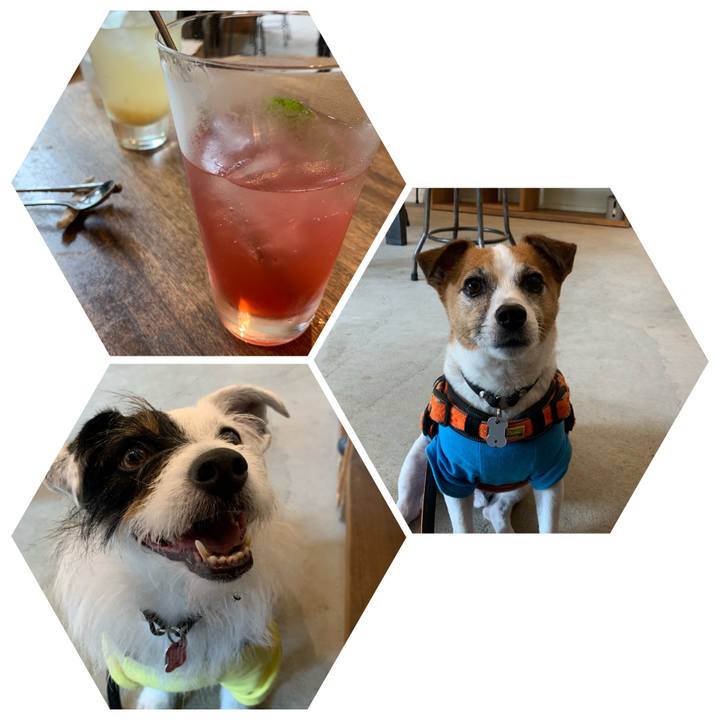 1a359b7c 08bc 46cf a6c5 0d19524139bf 1593320867657