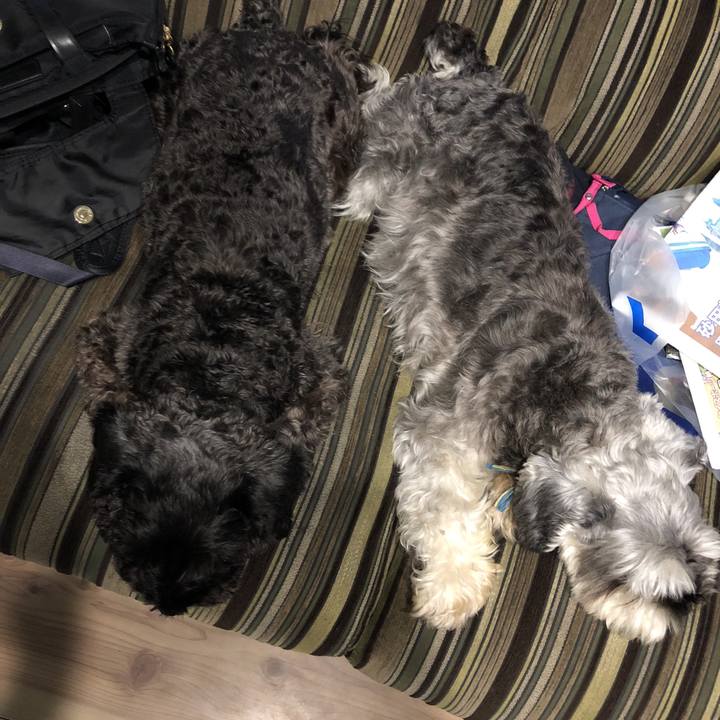 1a35b613 9ad8 44b3 85ff f93bbe49a2bf 1535974101493