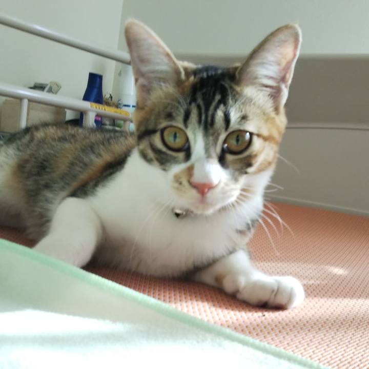 1a35bd7c dbcb 41cf 8ede 97735725e9c0 1637379903679