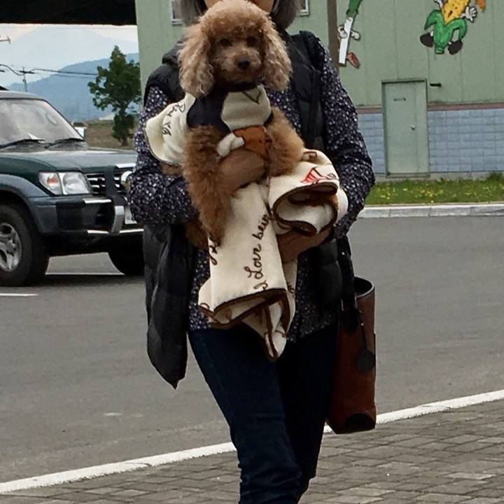 1a35c054 23a4 4d16 a15c 287982f95897 1557492296212